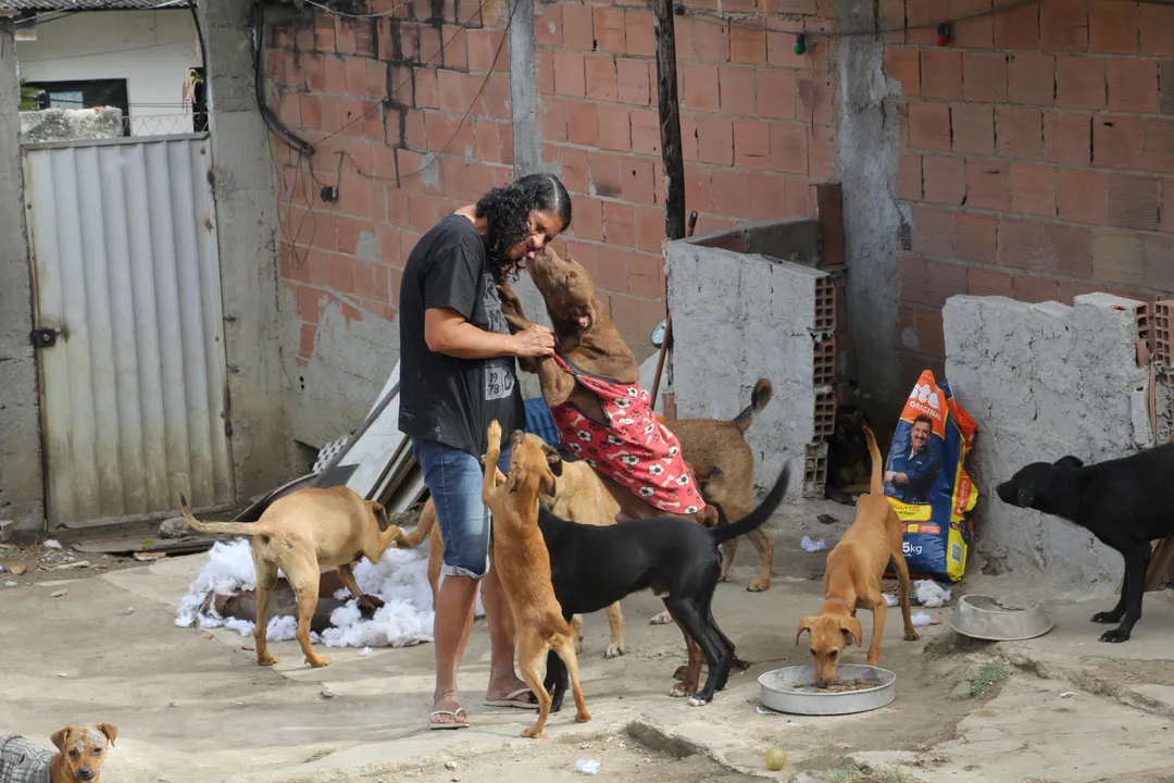 Interessados em ajudar animais podem entrar em contato através do Instagram: @protetoraadriana.