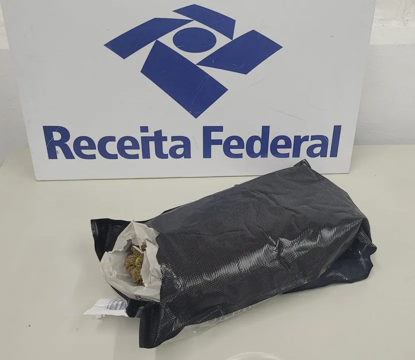 A remessa continha 532g de skunk dentro de uma caixa de papelão