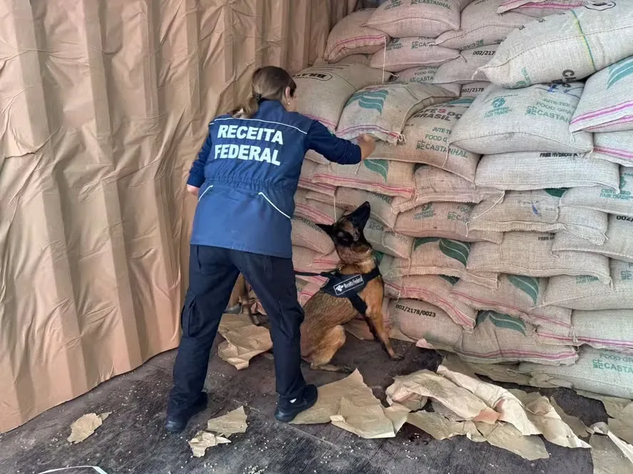 Com ajuda de cães farejadores e raio-X portátil, droga avaliada em R$ 312 milhões foi localizada em contêiner com destino à Alemanha
