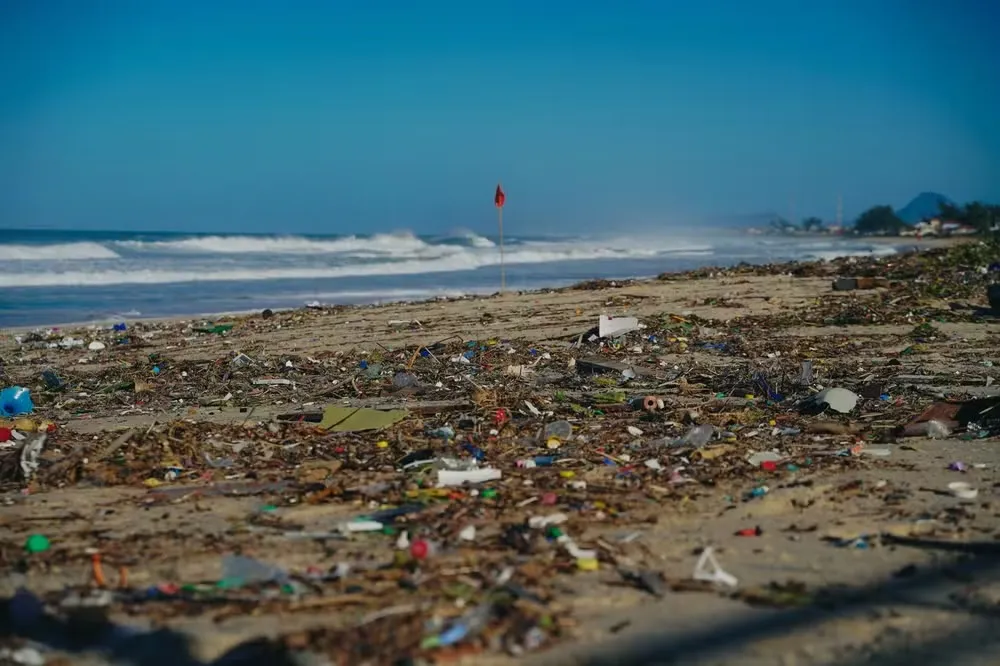 No total, o material encheu dois caminhões-caçamba