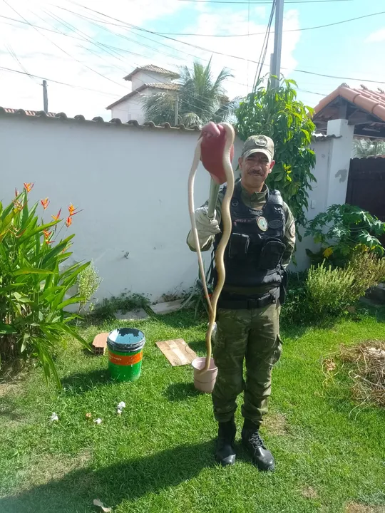 Moradores da região acionaram o Gedam