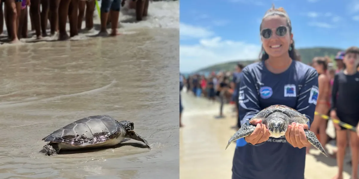 Tartaruga foi reintroduzida na Prainha nesta quinta (16)