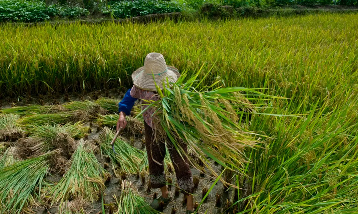 Construção de edifícios e cultivo de café foram áreas com maior número de trabalhadores resgatados