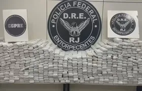 Ação entre PF e PRF apreende quase 1 tonelada de maconha em caminhão na Dutra