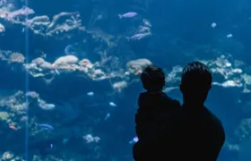 AquaRio faz promoção relâmpago nas férias: cariocas e crianças de todo o Brasil pagam menos na compra antecipada