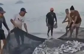 Arraia é devolvida ao mar por banhistas e pescadores de Niterói