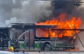 Avião de pequeno porte cai em São Paulo e atinge ônibus