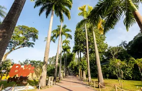 BioParque do Rio anuncia a chegada de novos animais nessas férias e inaugura o inédito 'Reino dos Axolotes'