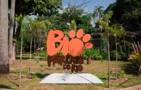 BioParque do Rio fecha temporariamente após morte de galinhas-d’angola