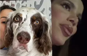 Cachorro de Anitta foge de casa na noite de Natal e cantora pede ajuda nas redes sociais