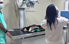 Cão é baleado em favela do Rio; ele foi 'jurado de morte' por traficantes da região