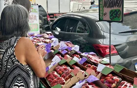 Com o fim da febre do “morango do amor”, preço da fruta despenca em São Gonçalo
