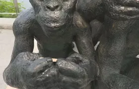 Escultura de macacos com celulares é removida da Praça Arariboia após furtos