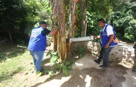 Febre Oropouche: Cachoeiras de Macacu e Itaboraí lideram casos no Rio