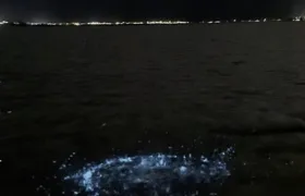 Fenômeno da ‘Lagoa Azul’ em Maricá tem motivos naturais e de investimento; entenda