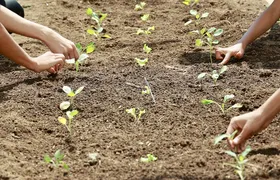Governo do Estado promove ações especiais na Semana do Meio Ambiente
