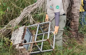 Guarda-parques identificam estrutura ilegal para fogos no Parque da Serra da Tiririca, em Niterói