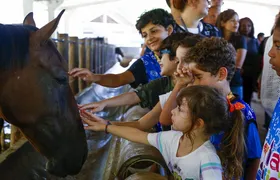 Instituto Vital Brazil abre inscrições para projeto durante férias escolares de julho
