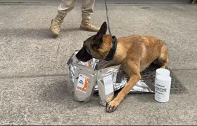 Mais de 10 kg de cocaína que estavam dentro de embalagens de suplemento são apreendidos no Rio