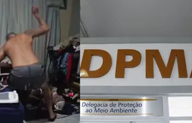Maus tratos: homem acusado de agredir sete cachorros é preso no Rio