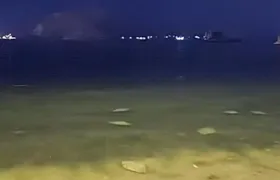 Moradores de Niterói registram a visita de dezenas de arraias na Praia das Flechas; Vídeo