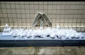 Mulher é presa transportando mais de 2 mil pinos de cocaína no Rio