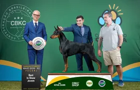 Niterói promove Exposição de Cães de Raça