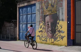 Novo painel do Cidade Ilustrada homenageia o gonçalense Altay Veloso