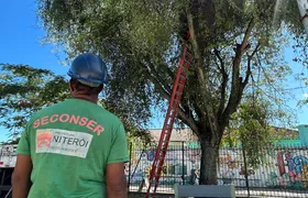OSG faz por você: após reportagem, prefeitura inicia limpeza da Praça do Barreto