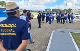 Operação apreende mais de 2 toneladas de café irregular no RJ