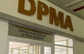 Operação contra rinha de galo termina com mais de 80 pessoas na delegacia