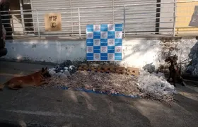 PM apreende armas e 200 Kg de drogas em ação na Rocinha