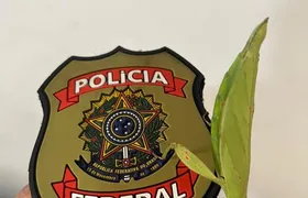 Polícia Federal mira tráfico internacional de animais silvestres