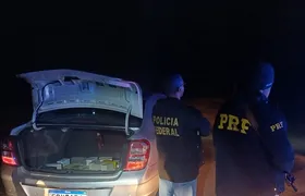 Polícia apreende 90 aves silvestres e prende criminosos na Região Serrana