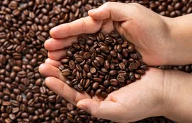 Preço do café sobe 80% em 12 meses e registra a maior inflação dos últimos 30 anos
