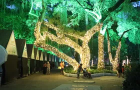 Programação de Natal leva cultura a todas as regiões de Niterói