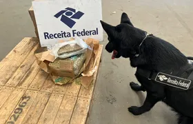 Receita Federal apreende 1 kg de skunk oculto em erva-mate em transportadora no Rio de Janeiro