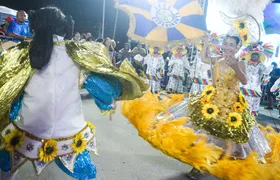 Sambas-enredo das Escolas de Niterói podem ser ouvidos e baixados online