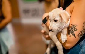 São Gonçalo Shopping celebra os Pais de Pet com feira de adoção, brindes e sessão de fotos especial
