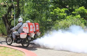 São Gonçalo mantém ações contra mosquito da dengue