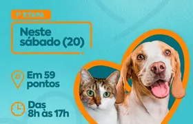 São Gonçalo promove vacinação antirrábica para cães e gatos neste sábado