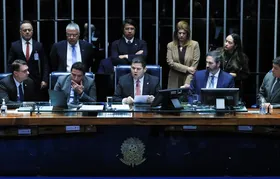 Senado aprova aumento do número de deputados federais para 531