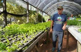 Sítio em São Gonçalo se destaca com produção natural de alfaces e projetos sociais