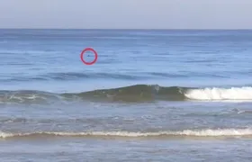 Tubarão é flagrado por surfistas em praia da Barra da Tijuca