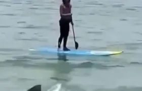 Tubarão surpreende banhistas em praia de Saquarema; Vídeo