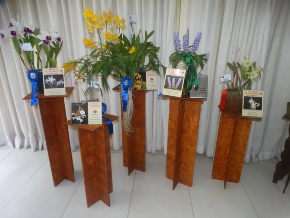 Exposição é uma oportunidade para admirar espécies raras e híbridas