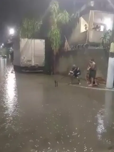 O animal foi avistado em meio ao alagamento e acabou sendo capturado por populares