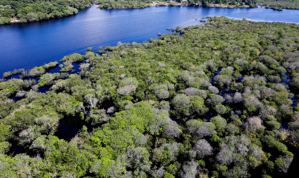 No bioma Cerrado, também houve redução das áreas com aviso de alerta de desmatamento no mês de junho