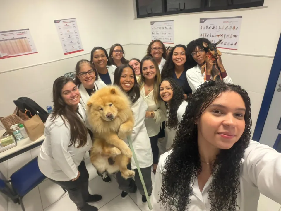Estudantes de veterinária realizaram aula prática de clínica com pequenos animais