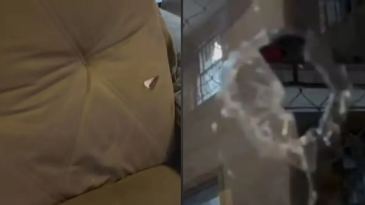 A mulher registrou a cena em vídeo e compartilhou nas redes sociais